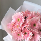 Букет из нежно-розовых гербер