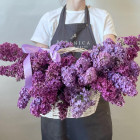 Корзина с сиренью