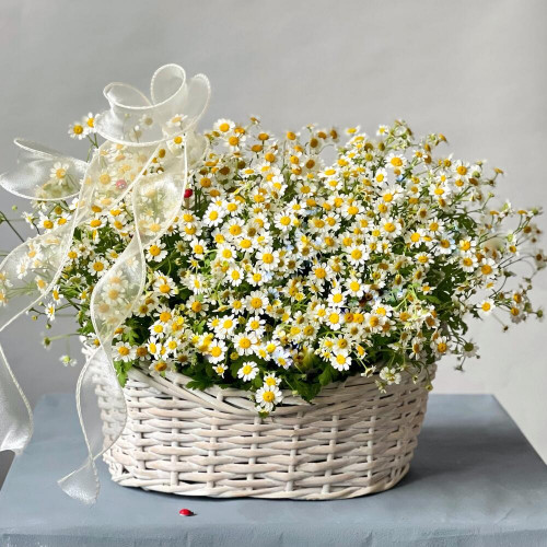 Корзина с летними ромашками