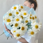 Ромашки крупные