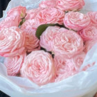 Букет из пионовидной кустовой розы "Мадам Бомбастик"