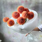 Букет из 9 оранжевых георгин