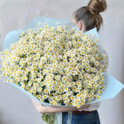 Букет из кустовых ромашек