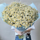 Букет из кустовых ромашек