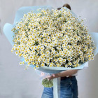 Букет из кустовых ромашек
