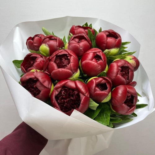 Букет из 15 красных пионов